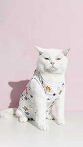 jumsuit ngừa rụng lông / Quần áo cai sữa - hỗ trợ phục hồi vết thương sau khi phẫu thuật - T3 PETS SHOP