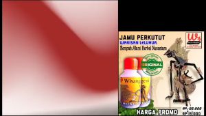 Jamu manggung herbal burung perkutut Lokal Bangkok Mental lebih fighter promo beli 3 bonus 1 WS