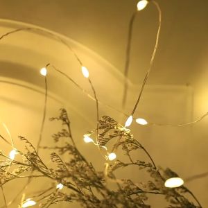 Dây đèn Led 3m fairy light dùng pin AA (không kèm pin) đèn Led AA trang trí nhà cửa 1 chế độ