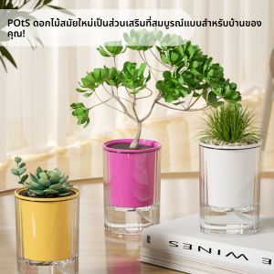 1 PC Boho สไตล์ Hydroponic กระถางดอกไม้ดูดซับน้ําอัตโนมัติกระบอกแจกันสําหรับ Succulents และพืชสีเขียวพลาสติกโปร่งใส