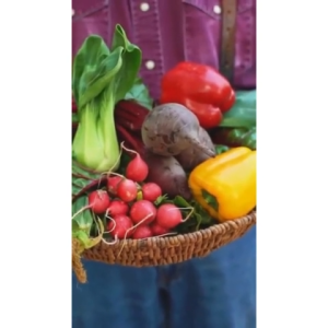 EM Vitamin Booster Untuk Tanaman Baja Organik Booster Subur Pokok Baja Lebat Baja Gemuk BIOCONV