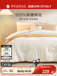 Pure Cotton Quilt Double Bed All Seasons Comforter Warm Winter Spring Autumn Inner Outer Cotton Fabric Xinjiang Cotton Quilt