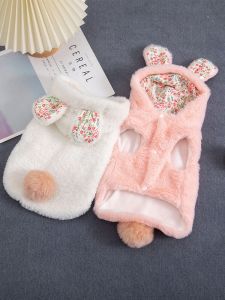 Áo Bông Mèo Quần Áo Hai Chân Teddy Dày Dặn Quần Áo Cho Chó Cưng Quần Áo Hình Thỏ Mèo Con Mèo Xanh Ngắn Thu Đông.