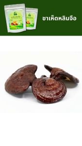 ชาเห็ดหลินจือ ตราไร่กฤติยา (Reishi Mushroom Tea)