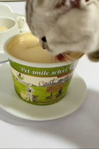 (2ขวด) โยเกิร์ตนมแพะรสแครอทออร์แกนิกเพื่อสุขภาพสัตว์เลี้ยง PETSMILE 250ml.