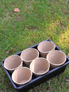 10pcs/Set Seedling Cup Bahan Pulpr Sekali Pakai Dapat Terurai Cup Untuk Seedling 8cm