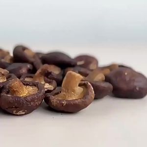 Premium Dried Mushrooms 500g