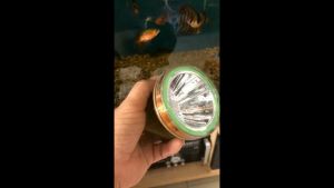 Đèn pin đội đầu 2 pin sạc 100W siêu sáng choá lơn 8cm kín nước 788 - 888