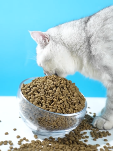 【SG seller】500g/bag Masti Dry Cat Food Seedfood Cat Food Complete Cat Food全价全期海鲜猫粮