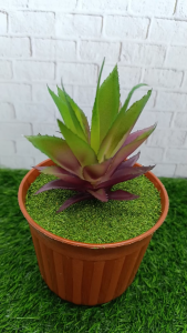 Tanaman Hias Sukulen Artificial DIY – Pot Cantik 12x24 cm – Rumput Padat Rapi Estetik – Dekorasi Rumah/Kantor