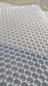 【Bangkok Stock】ถาดเพาะกล้านาโยน มี 434 หลุม แพ็ค 100 ชิ้น กล้านาโยน นาโยน เพาะกล้านาโยน ถาดนาโยน ถาดเพาะนาโยน ผสมสารป้องกัน UV