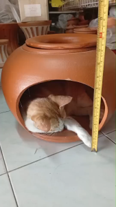 บ้านสัตว์ บ้านดินเย็น คละแบบ คละลาย  สำหรับสัตว์เลี้ยง ขนาด 16 นิ้ว - 18 นิ้ว มีฝาปิดเทินด้านบน สำหรับใส่น้ำ หรือ น้ำแข็งรับประกันความเสียหายระหว่างขนส่ง