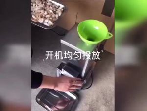 Commercial Electric Garlic Peeler 220V Garlic Peeling Tool Machine Stainless Steel for Restaurants Barbecue Shops Canteen Hotels UK Plug