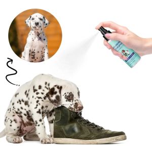 Bitter No Chew Spray for Dogs Stop Chewing Biting and Licking Furniture Surface Protector 100ml Training Repellent