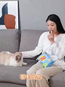 Lint Roller Super Sticky Remover Pet HairClothesCarpet & Others 粘毛器滚筒可撕式