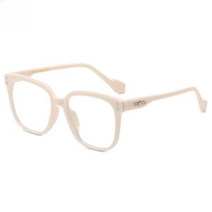 Faye Similar Glasses Transparent Frame Gray GM Super Cool Sunglasses for Women with Small Face Colored Large Frame Square Sunglasses