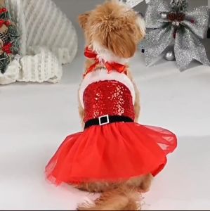 Baju Natal Anjing & Kucing: Desain Menarik untuk Anabul Kesayangan