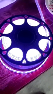 RGB NEON LED STRIP LIGHTS