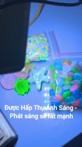 [50 Viên] Sỏi màu dạ Quang trang trí hồ cá tiểu cảnh