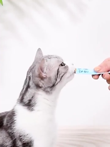 Combo 50 - 100 thanh Súp Thưởng SHIZUKA 15g - Giải pháp dinh dưỡng hoàn hảo cho thú cưng của bạn