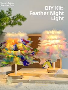 DIY Feather Lamp Making Kit
