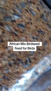 1kg Canary Mix Bird Food Mix Seeds All Stages Arf And Meow Pet Supplies