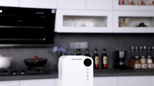 Portable Energy-Saving Dehumidifier Electric Mini Dehumidifier Low Noise 1100ml Energy-Saving 除濕機