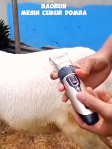 BERGARANSI BaoRun Alat Mesin Cukur kambing domba di cas Bulu anjing kucing elektrik Warna Gold K5