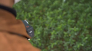 TELESIN CPL ND8 ND16 ND32 Lens Filter Kit for DJI Osmo Action 3 / DJI Action 4 / DJI Action 5 Pro