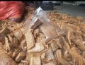 1 kg vỏ dừa cắt nhỏ trồng cây.. 