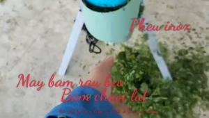 Máy băm rau bèo phễu inox máy băm rau chuối lát cho gà vịt ăn