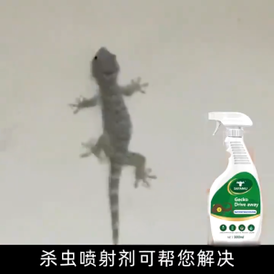 [จัดส่งจากกรุงเทพฯ] ยาไล่ตุ๊กแก ไล่จิ้งจก สเปรย์ไล่จิ้งจก ตุ๊กแก 500มล.น้ํายาไล่จิ้งจก กําจัดจิ้งจกใช้ในบ้านเรือน หรืออาคารสถานที่ พื้น ผนัง ขอบหน้าต่าง