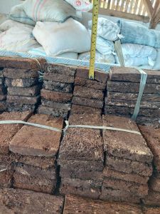 Akar Pakis Papan Lempeng 10+×20+×3 Media Tanam Kering Murah