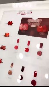 Set Sơn gel QingYou chính hãng tone đỏ 12 màu tôn da(Tặng kèm bảng Màu)