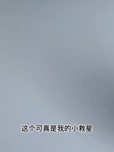 (SG Stock) Sewers fly bug killer Toilet toilet pipe insecticide Household indoor moth gnats non-toxic 500ml