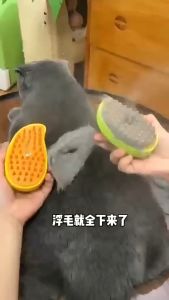 3 In1 Steamy Pet Brush Electric Spray Cat Hair Brush Dog Steamer Brush For Massage Pet Grooming Removing Tangled and Loose Hair