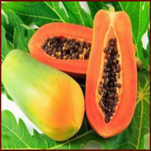 Papaya Seeds Red Lady Dwarf – Heat Resistant High Yield Sweet Variety – Easy to Grow – Green Soil