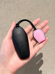 Diyuan Sea Otter Key Cover for Car Tpu Material Simple Style Suitable for Han Ev Qin L And Other Models Vehicle Interior Accessories