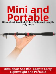 Ultra-light Hard Fishing Rod