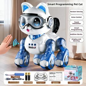 FANMIAO | Remote Controlled Talking Walking Robot Toy