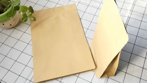 [1kg/size] TÚI ZIPPER GIẤY 8 CẠNH KHÔNG CỬA SỔ CÓ MÀN CHỐNG THẤM [FULL SIZE]