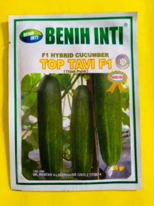 Benih Timun TOP TAVI F1 isi 20gr dari DINASTY INTI AGROSARANA joss
