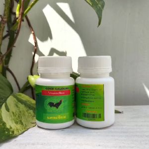 COCK KALSIUM AYAM IMPORT - memperkuat tulang