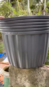 10 Chậu Nhựa C16 Đen Khía  Loại Dày Trồng Cây  Chậu Trồng Rau Kích Thước 42x32cm