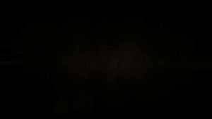 40mm Big Bore ProFender Heavy Duty Shock Absorber | MTISUBISHI TRITON KL4T