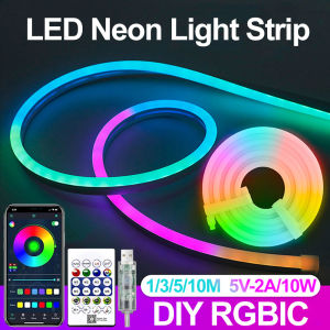 RGBIC Musical Neon LED Strip Lights with Remote APP Control DIY Screen Pattern USB 5V IP65 Waterproof for Xmas Halloween Party