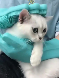 Pet Bath Gloves Silicone Brush Anti-scratch Anti-bite Comfortable Massage Bath Artifact Pet Product