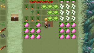 Nintendo Switch Rune Factory 3 Special (US)(English)