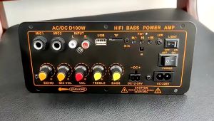 D100 100W Papan Penguat Audio Bluetooth Subwoofer Dual Mikrofon Modul AMP 12V 24V 220V Pemutar Media