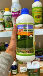 Pupuk Organik JIMMY HANTU Ijo Royo Hormon Multiguna 1000 ml
